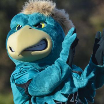 Coastal Carolina University's Mascot, Chauncey