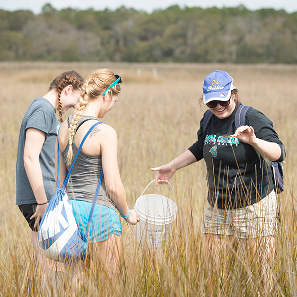 Three students student crabs at Waties Island, which provides a natural laboratory for extensive study in marine science and wetlands biology on an Atlantic coast barrier island