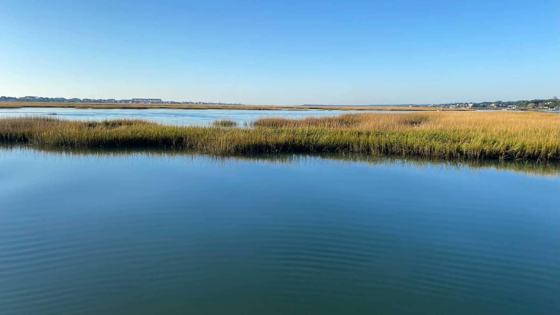 Marsh scene with grasses and blue water
