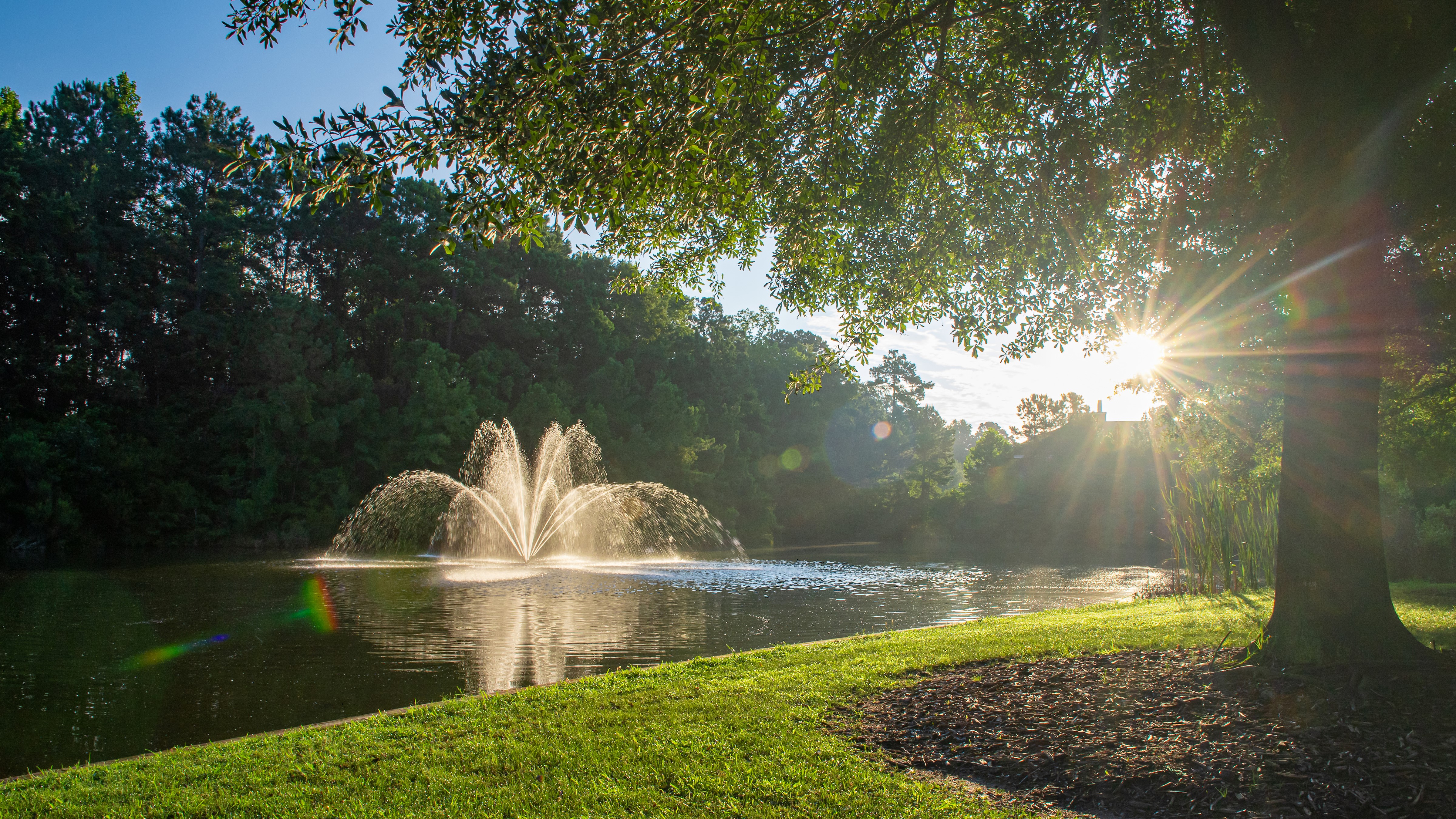 photo of pond with trees and fountain