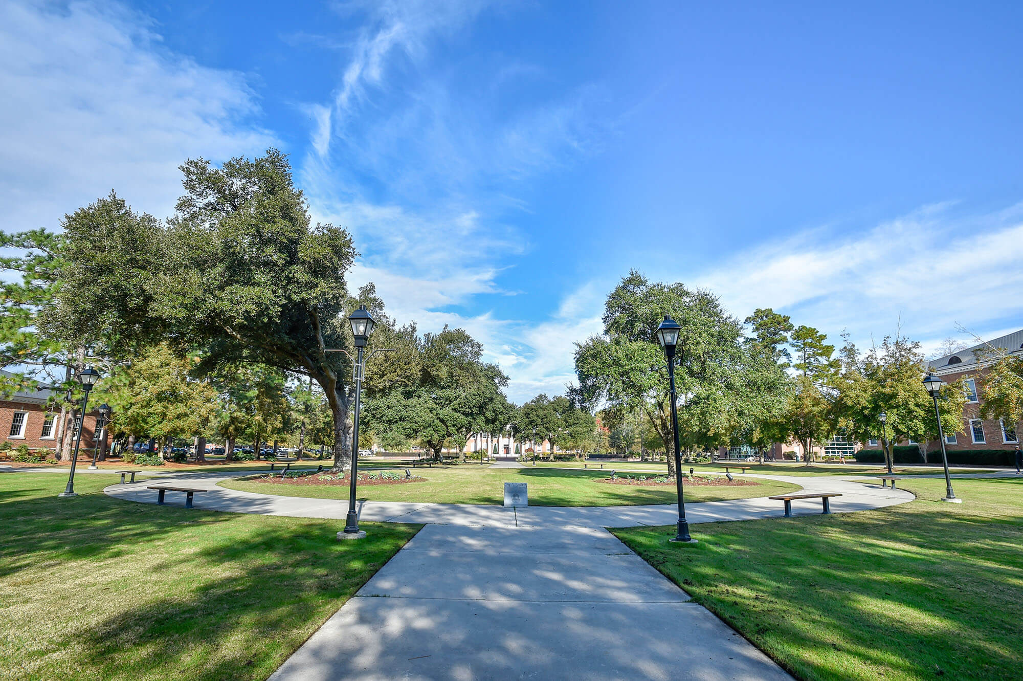 Trees in Coastal Carolina campus