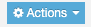 A screenshot of the Actions button