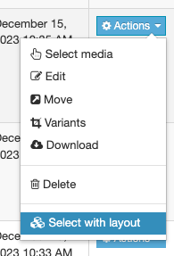 A screenshot of the actions dropdown in the media library